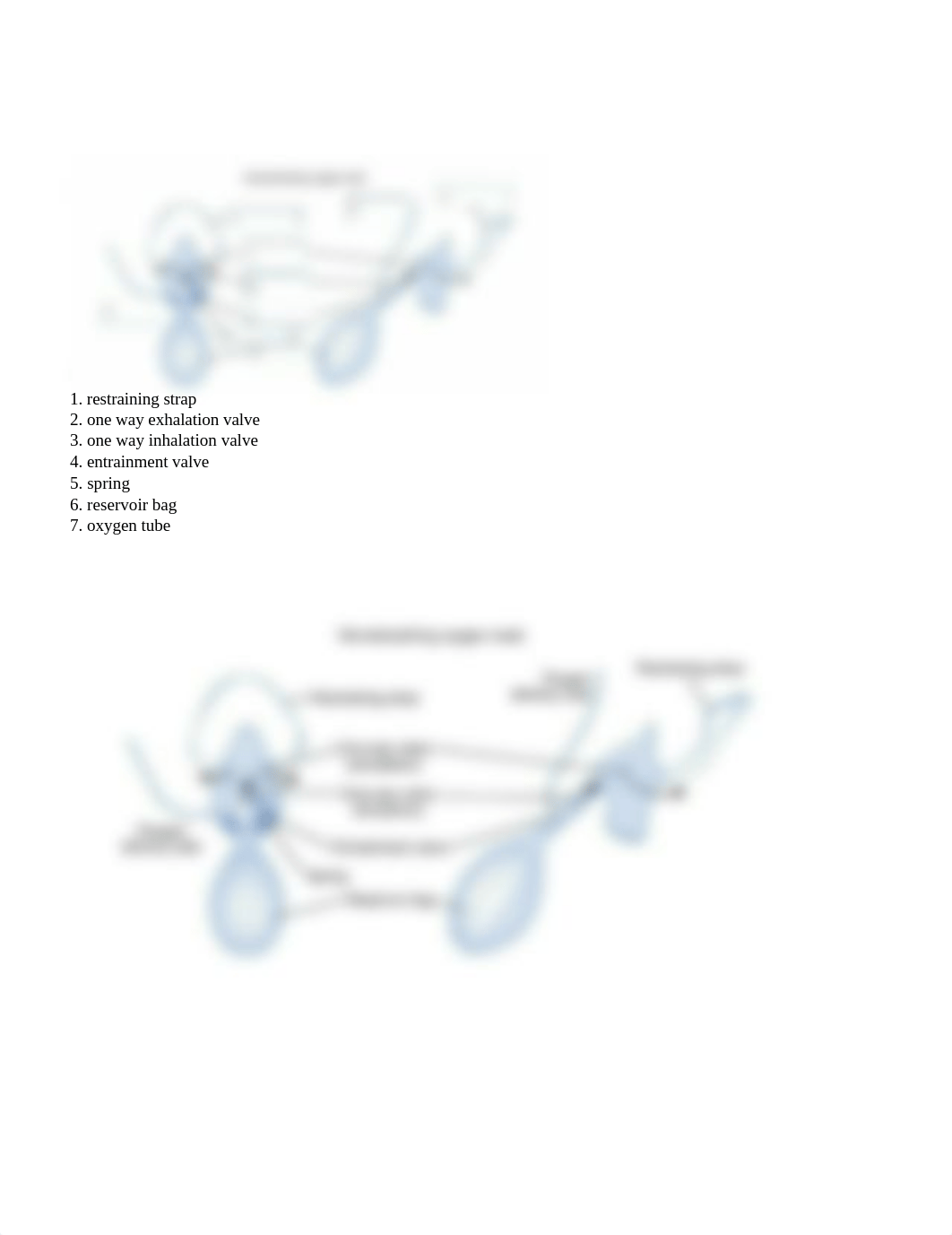 Foundations_Respiratory_worksheet_dqqkek8wv1n_page2