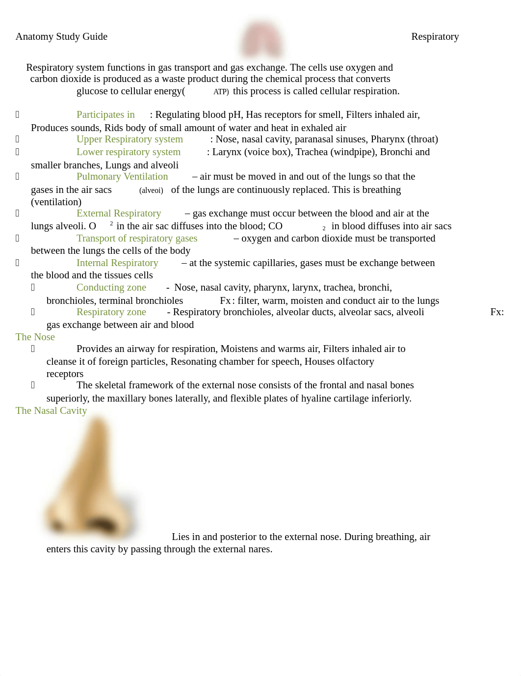 anatomy sg6_dqqv9qzij6e_page1