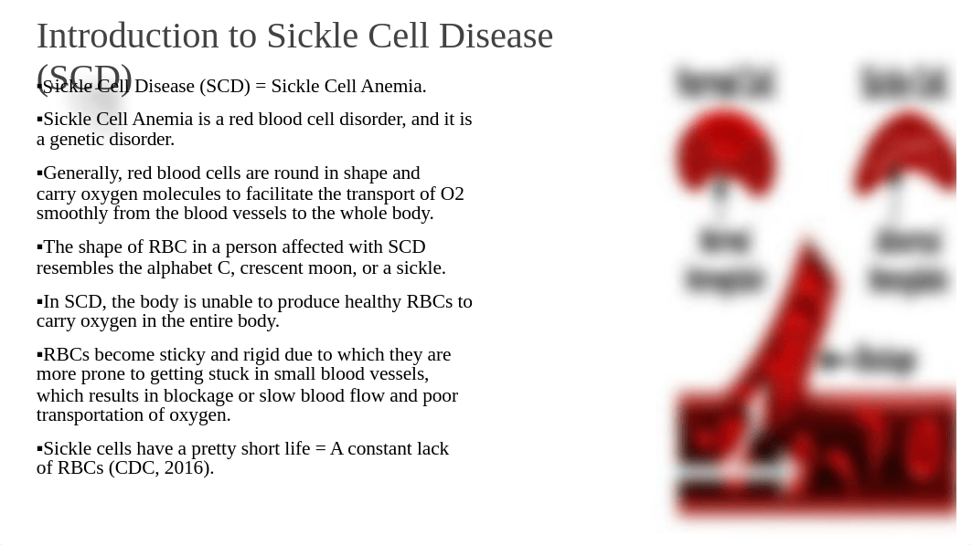 !!Sickle Cell Anemia Project.pptx_dqr1zg1rbob_page3