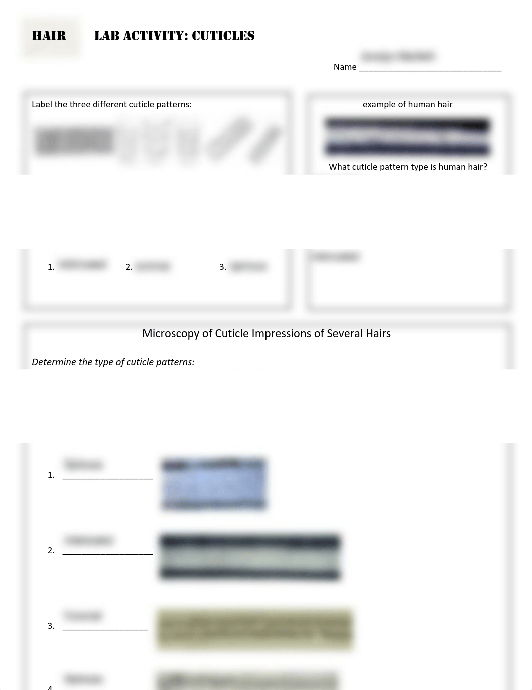 Hair Lab Activity Cuticles.pdf_dqr41uhm99n_page1