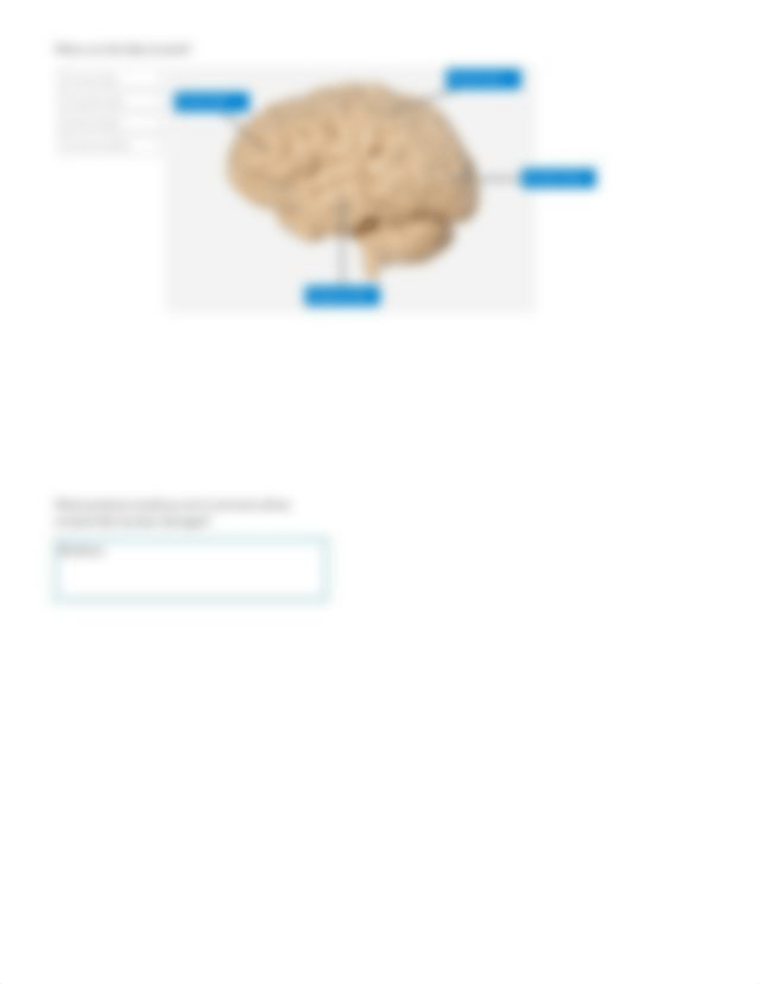 Parts of the brain and their functions report.pdf_dqr4ucgdpoy_page3