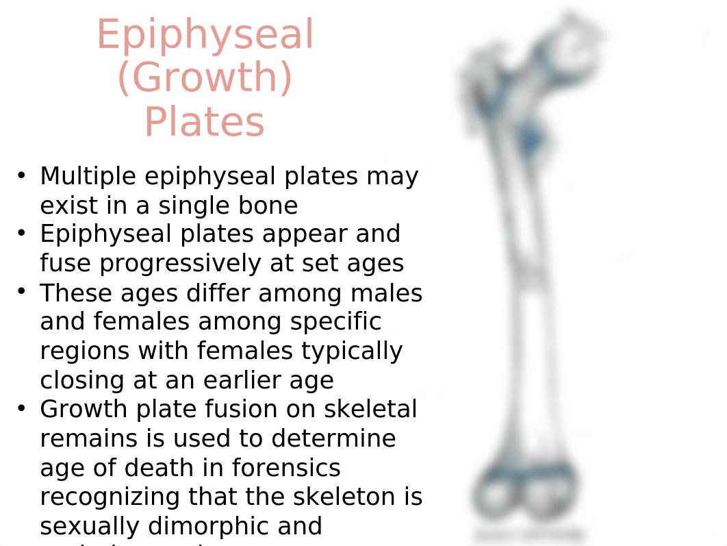 1B Skeletal PP (1).ppt_dqrxw1af2gf_page5