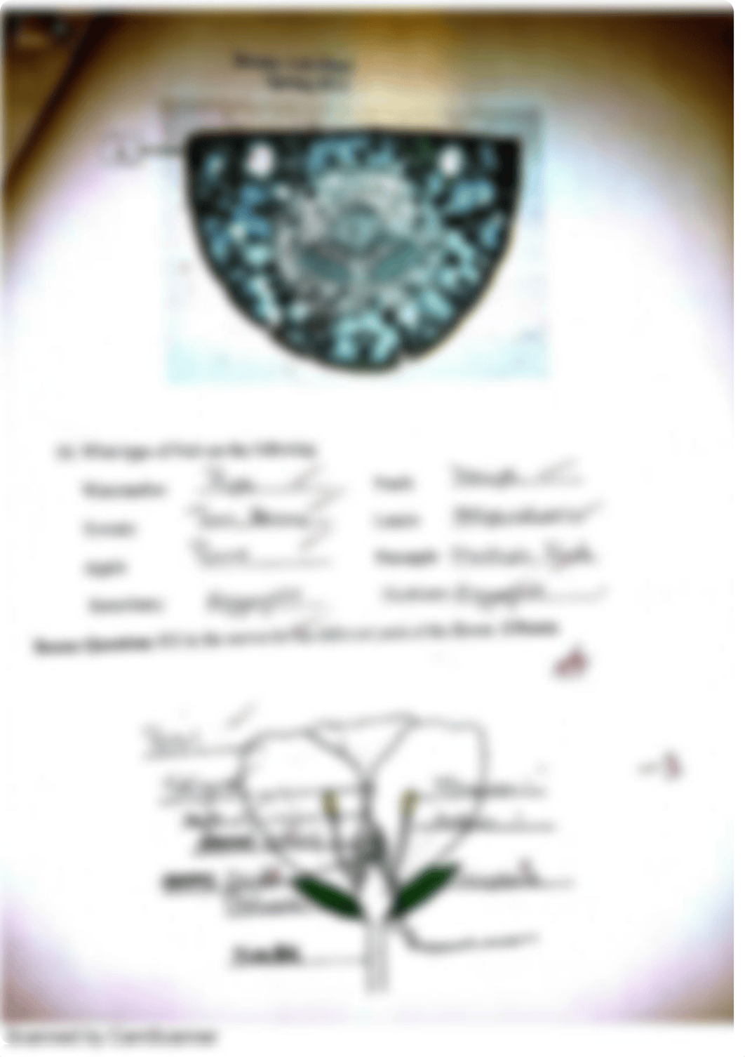 Botany Lab Final Exam_dqry1fd3sac_page5