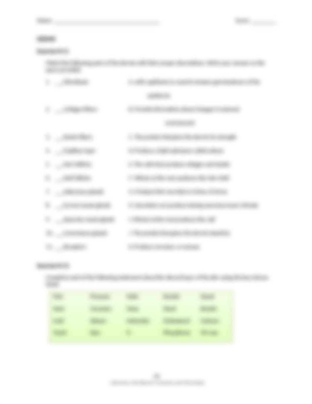 INTEGUMENTARY SYSTEM (4).docx_dqs3r5837sv_page4