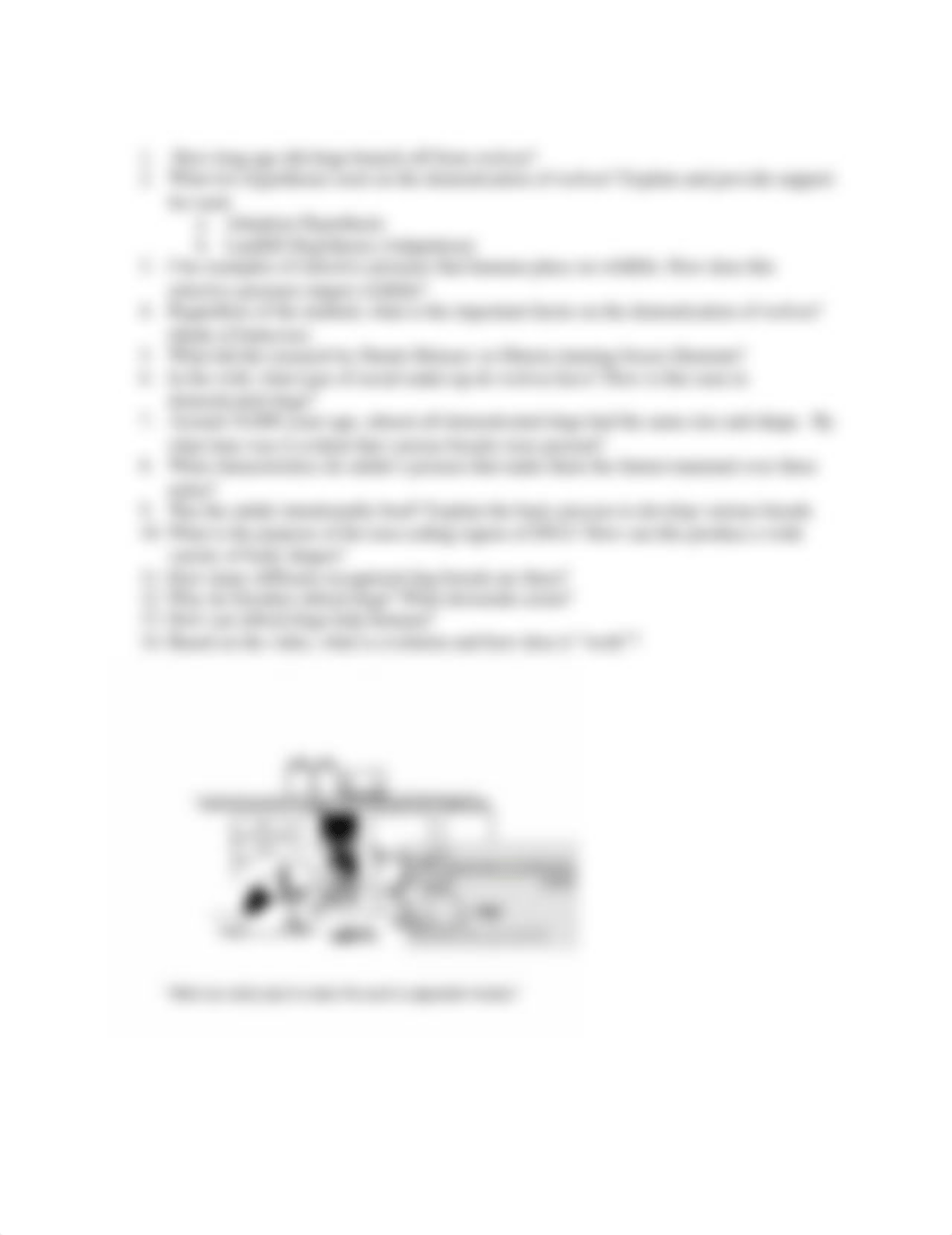 Dogs and More Dogs video questions.docx_dqs3vl2pfzn_page2