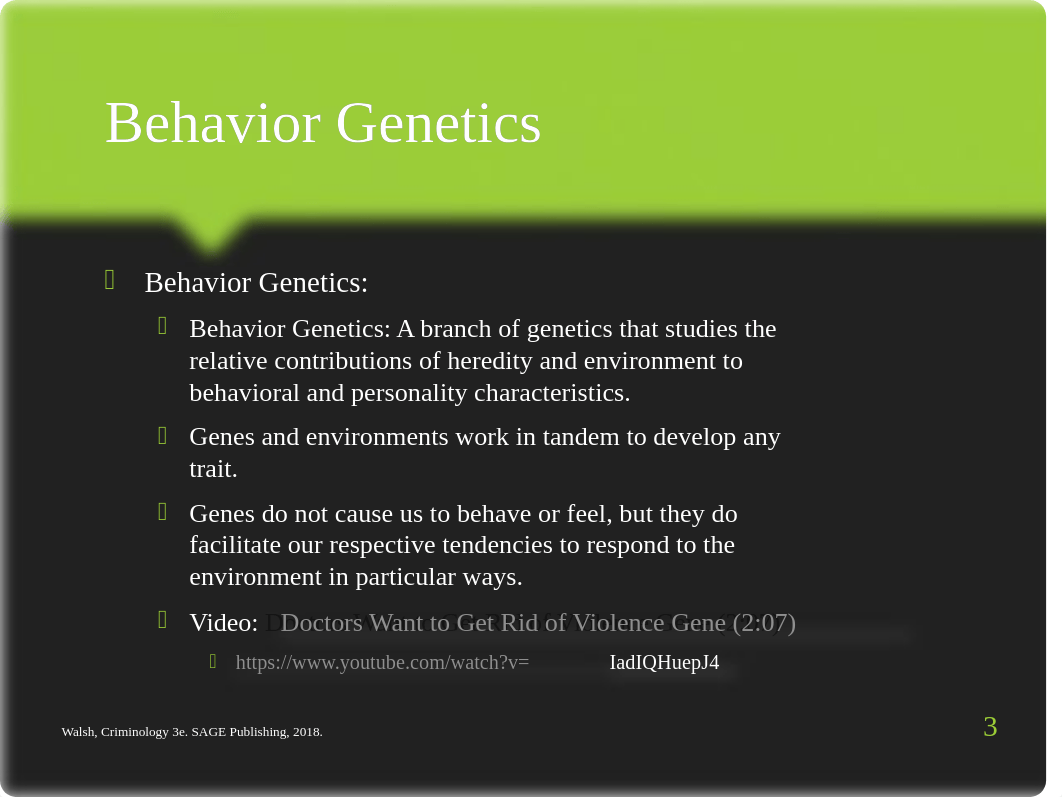 0401 - Biosocial Theories.pptx_dqsdckcaba0_page3