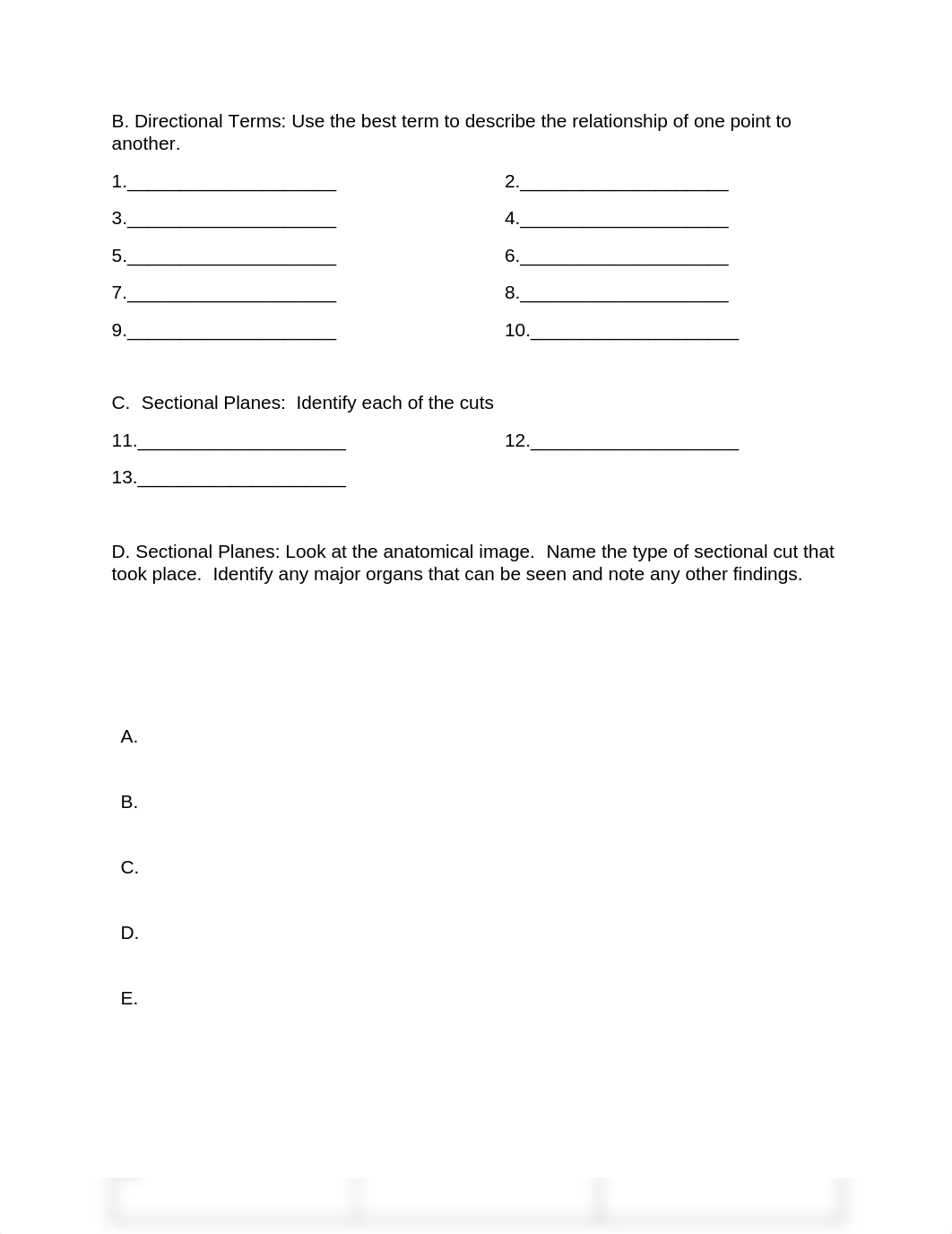 Lab 1 (organs and organization).pdf_dqsfp58xpbl_page2