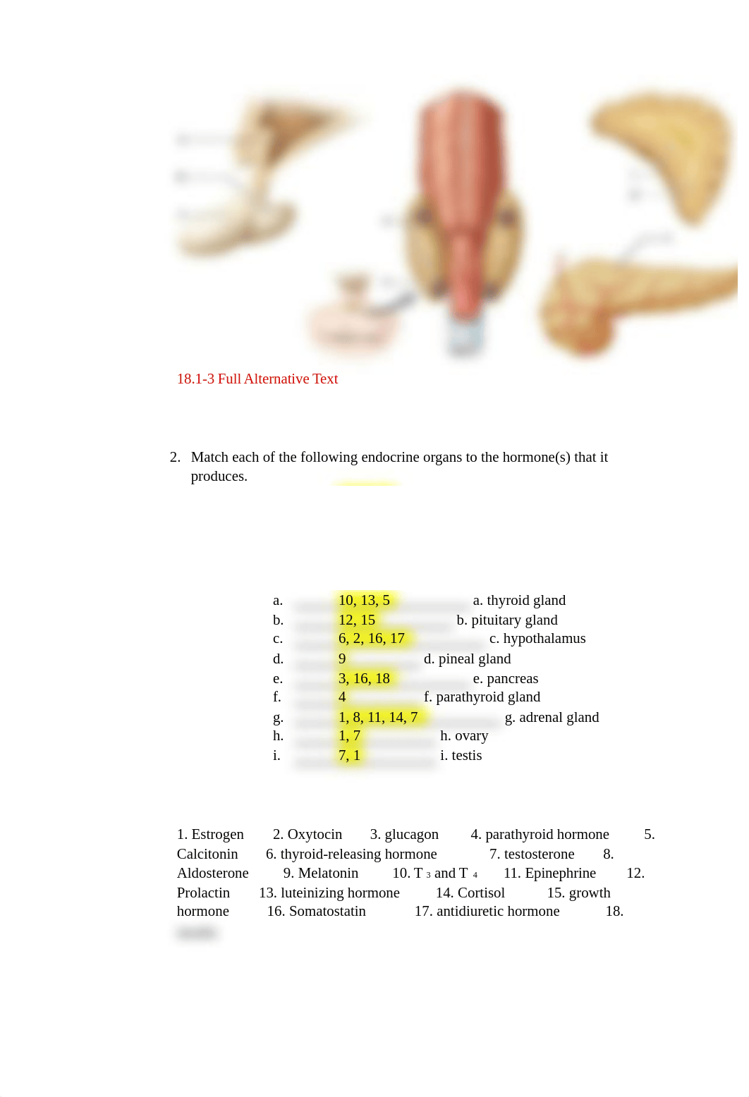 The Endocrine System (1).pdf_dqsr3v9a1tu_page3