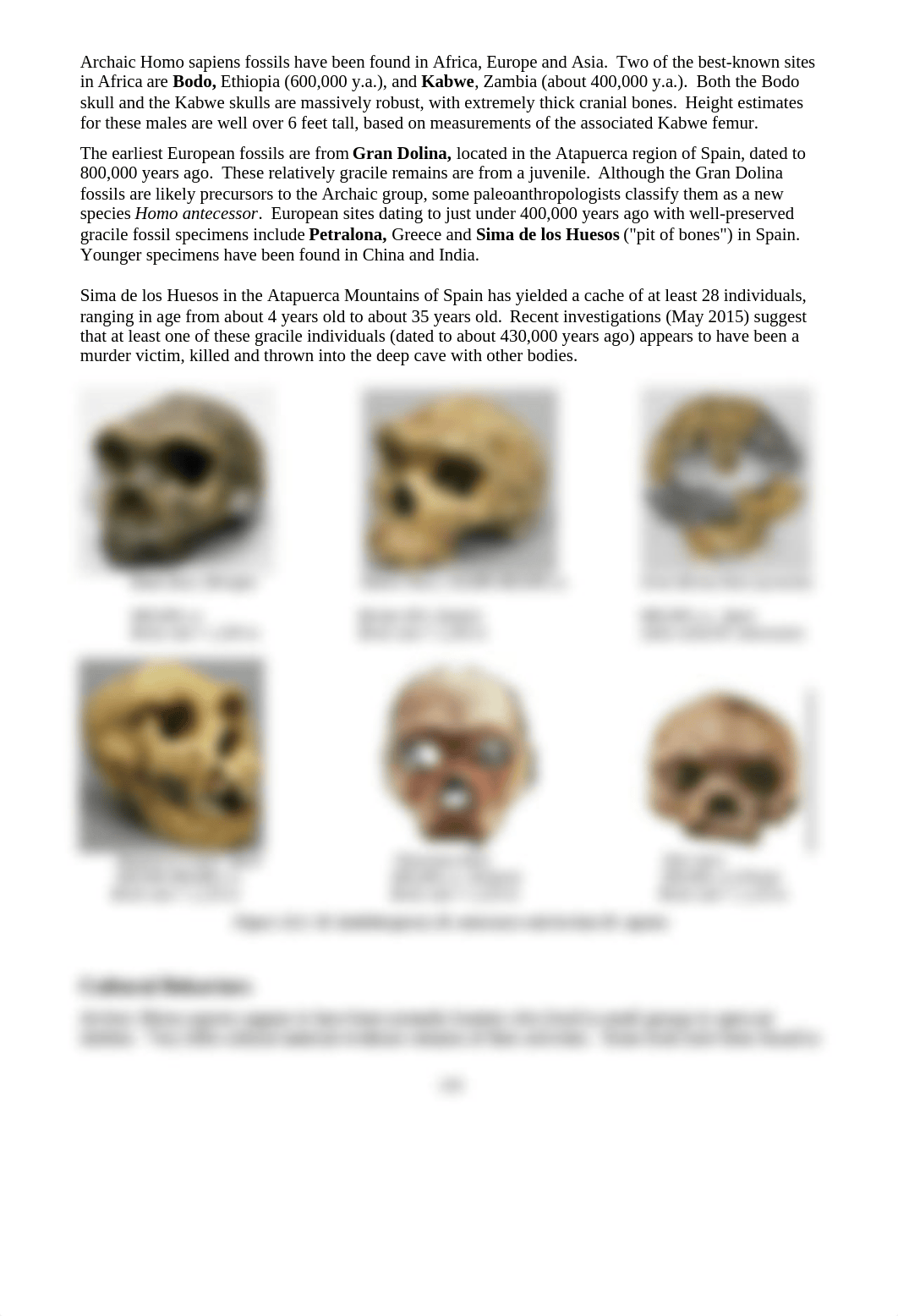 Manual-Archaic and Early Modern Humans.docx_dqsvfexfqom_page2