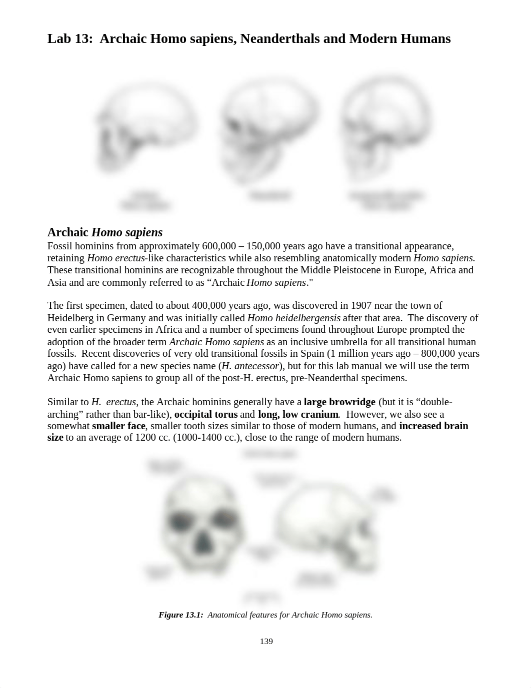 Manual-Archaic and Early Modern Humans.docx_dqsvfexfqom_page1