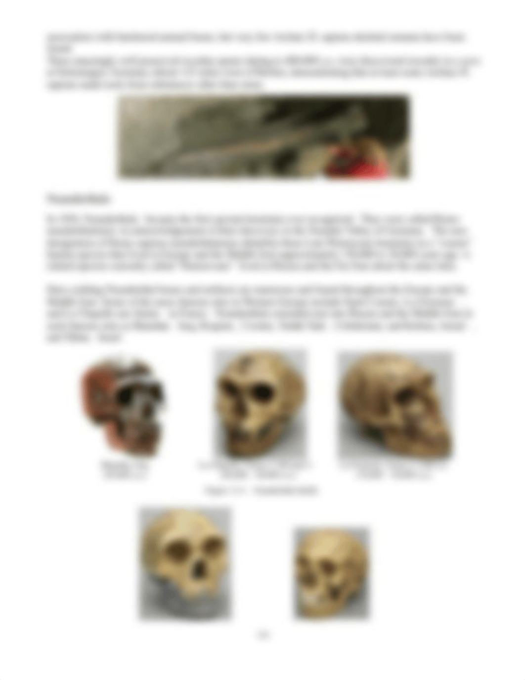 Manual-Archaic and Early Modern Humans.docx_dqsvfexfqom_page3