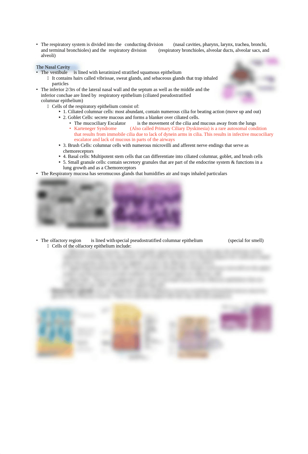 Histology of the Respiratory System .pdf_dqsycvw2tw5_page1