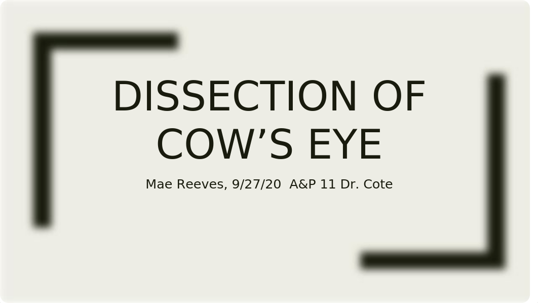 DISSECTION OF COW'S EYE.pptx_dqt8t1qfndl_page1