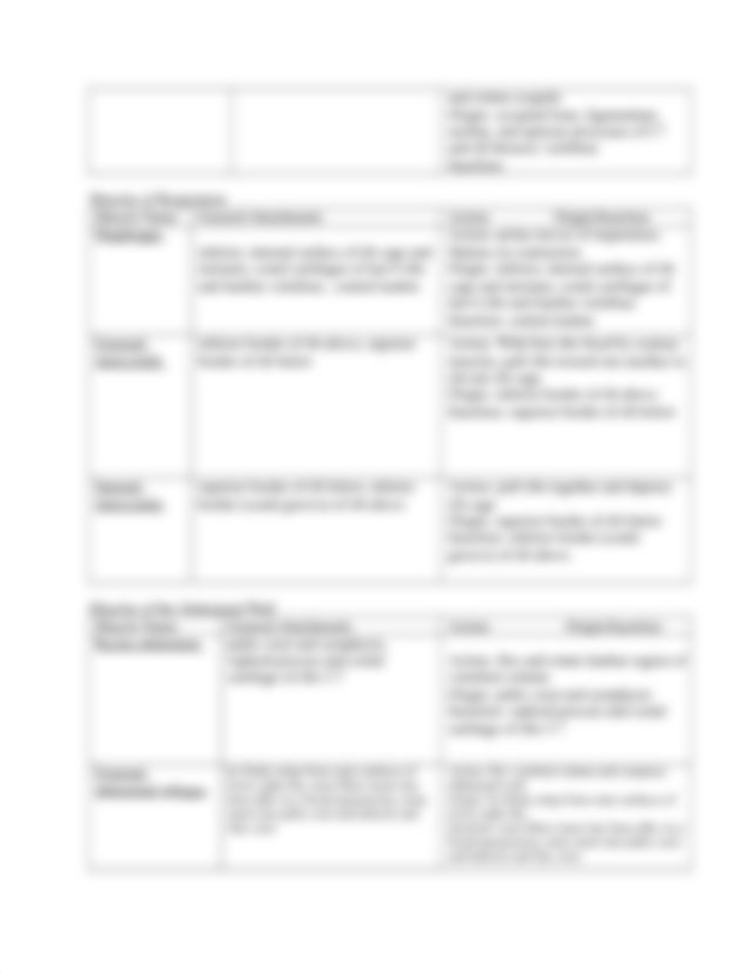 Lab 7 Muscle Anatomy-.docx_dqtc5kiz5yg_page3