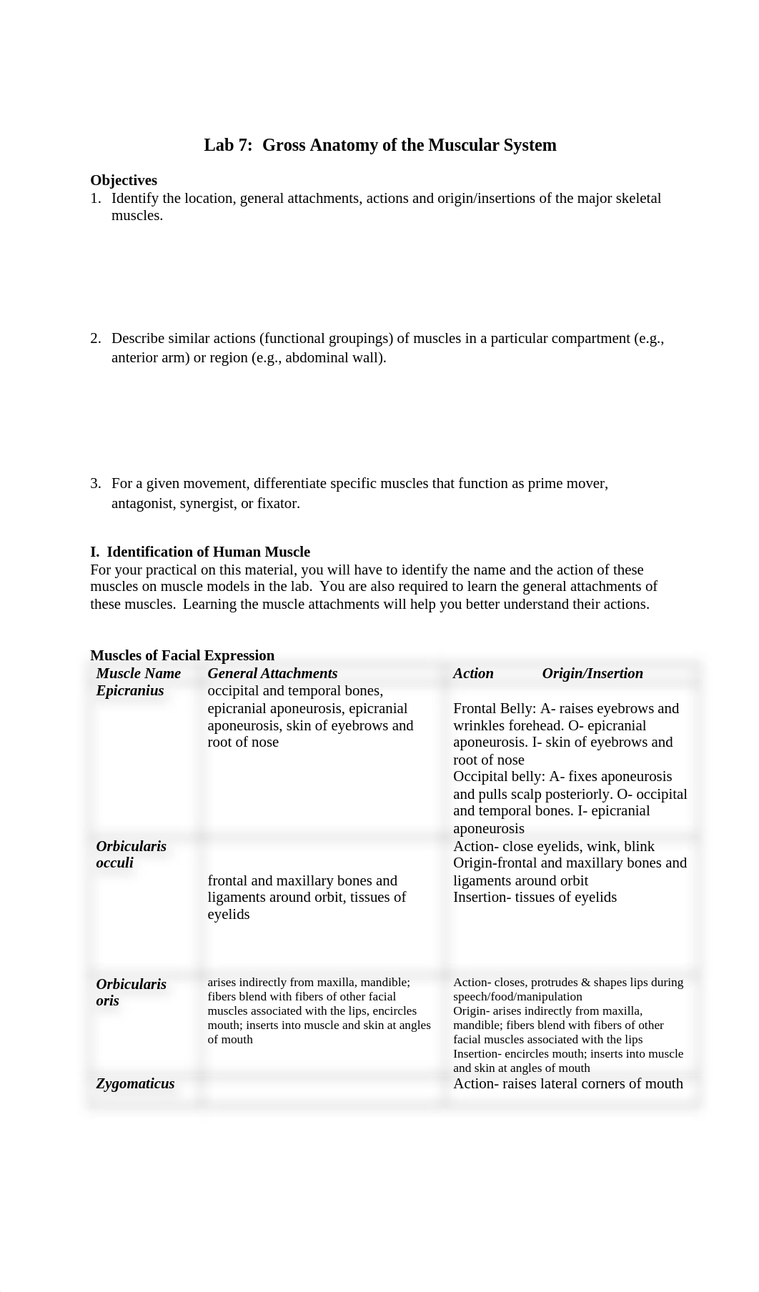 Lab 7 Muscle Anatomy-.docx_dqtc5kiz5yg_page1