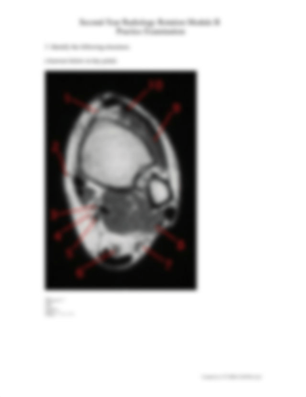 LHH Radiology Rotation Module B Practice Test Questions_dqtcw15756n_page3