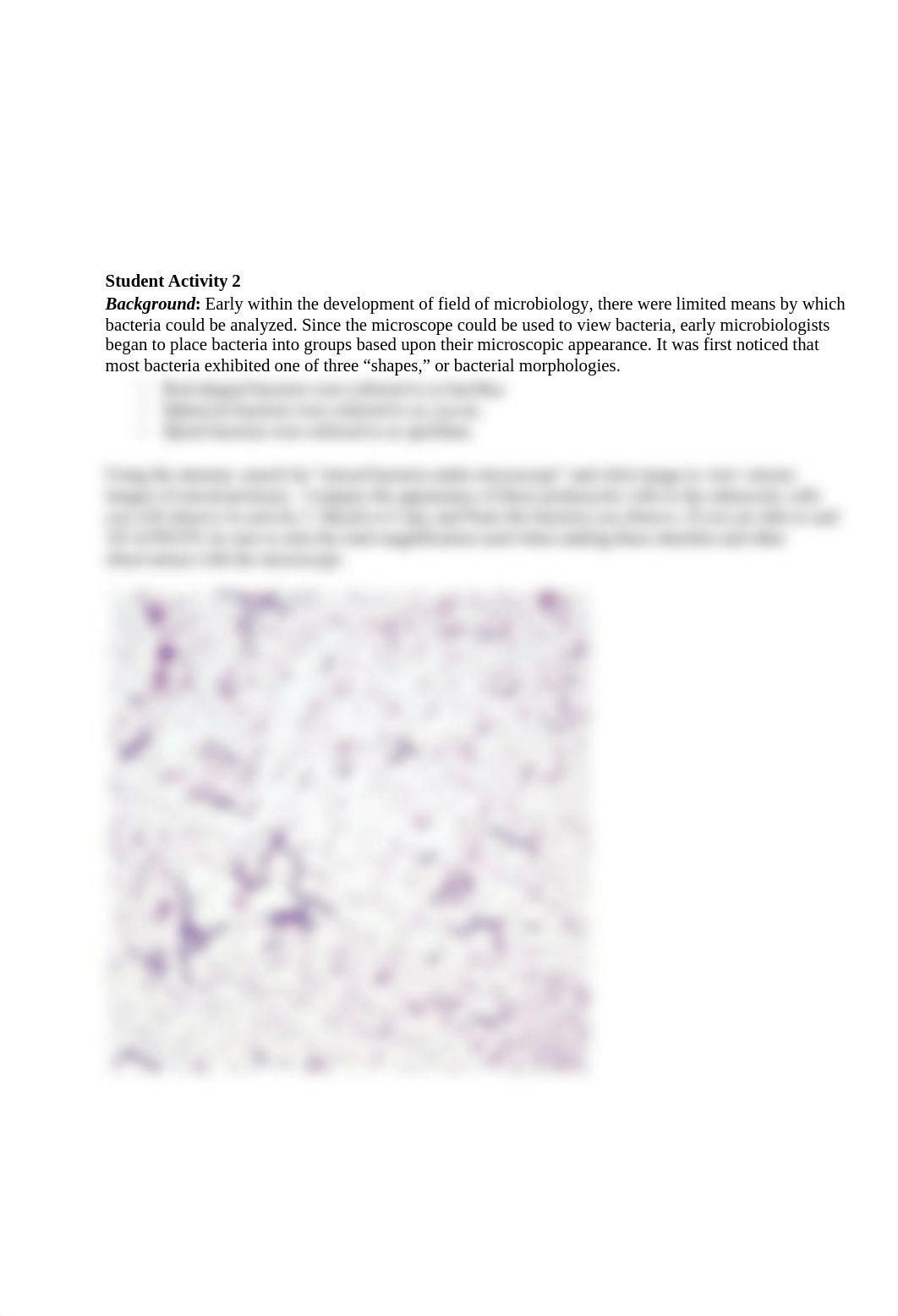 Microscope Lab Activity Worksheet finished.docx_dqtdivxp27u_page2