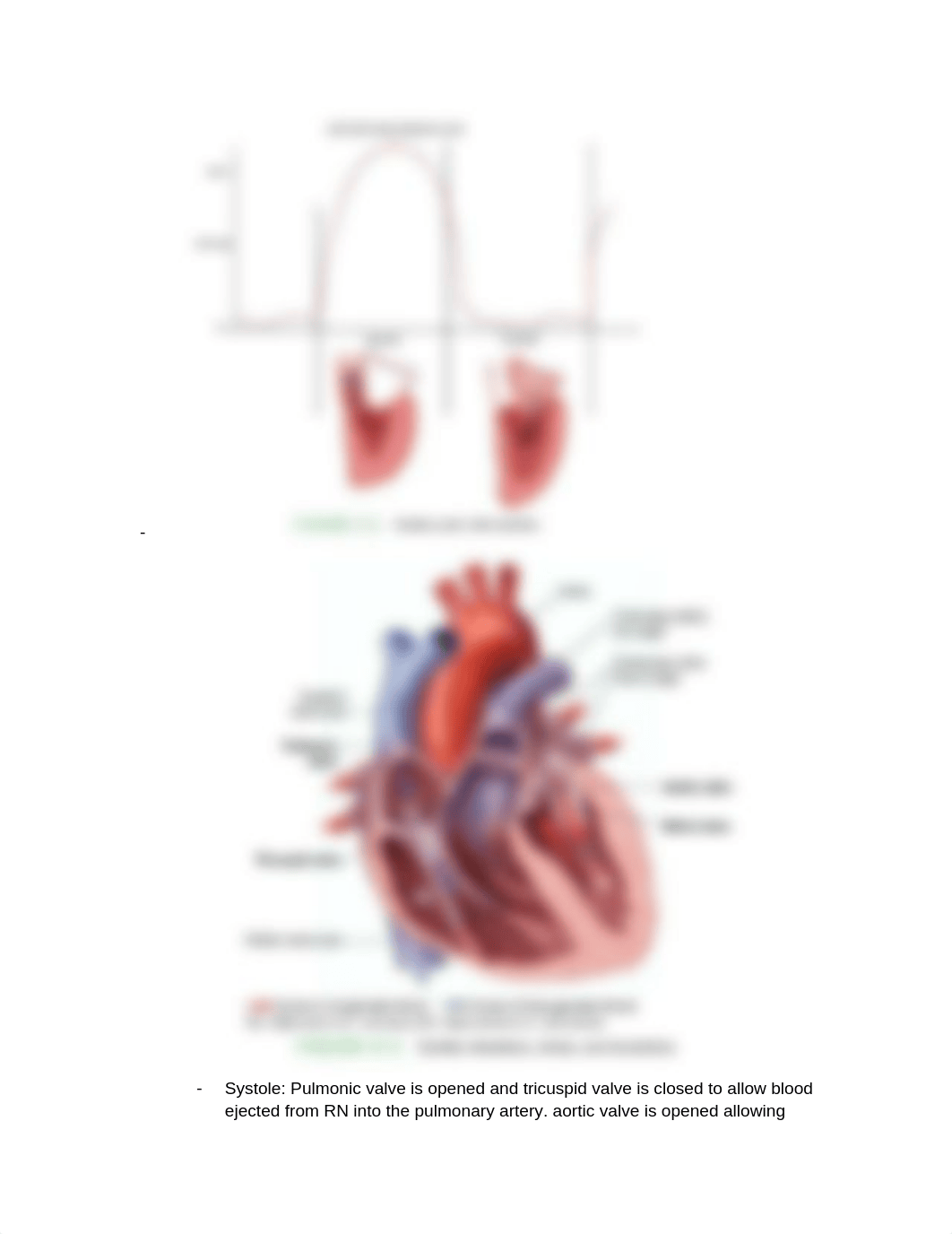 Exam #2 .docx_dqte14hdt4t_page2