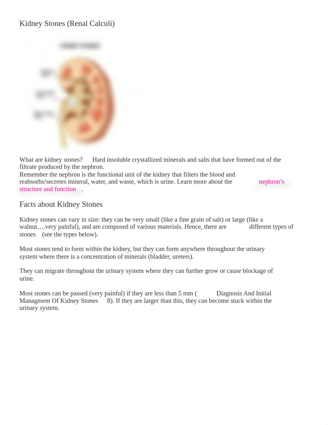 Kidney Stones.docx_dqtpx3a2sgj_page1