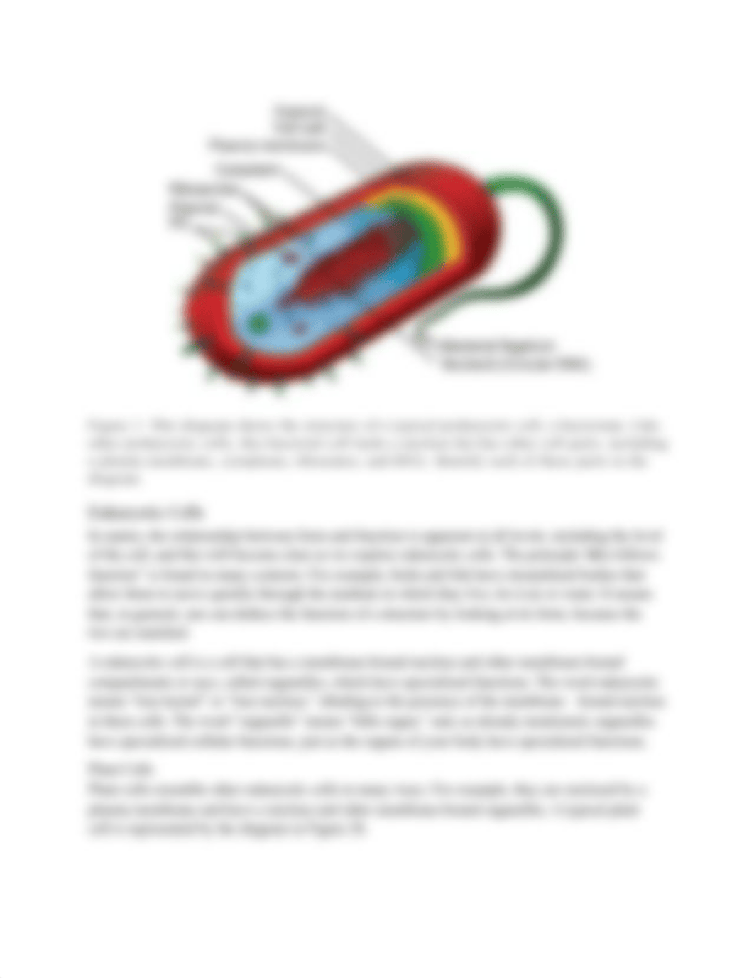 Lab 6. Cell Structure and Function.pdf_dqtzhxtujcn_page3