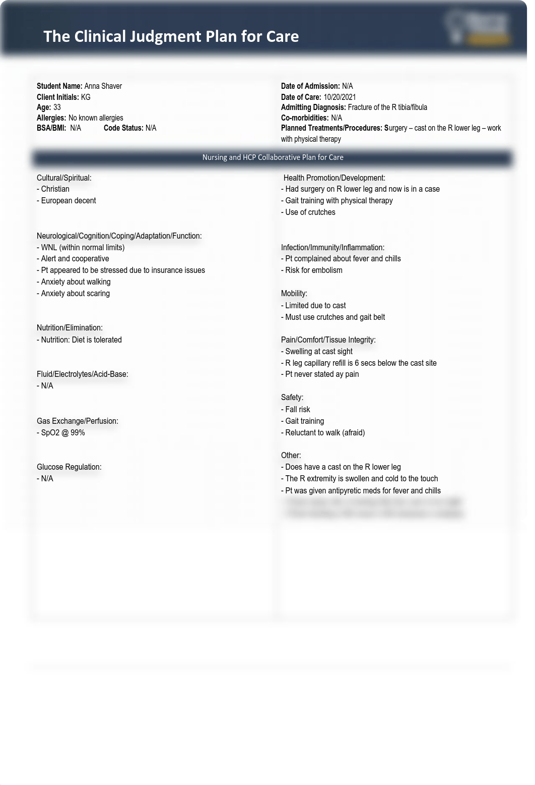 Clinical Judgment Plan for Care - fall 2021 Wk8.pdf_dqu3bsmt14q_page1