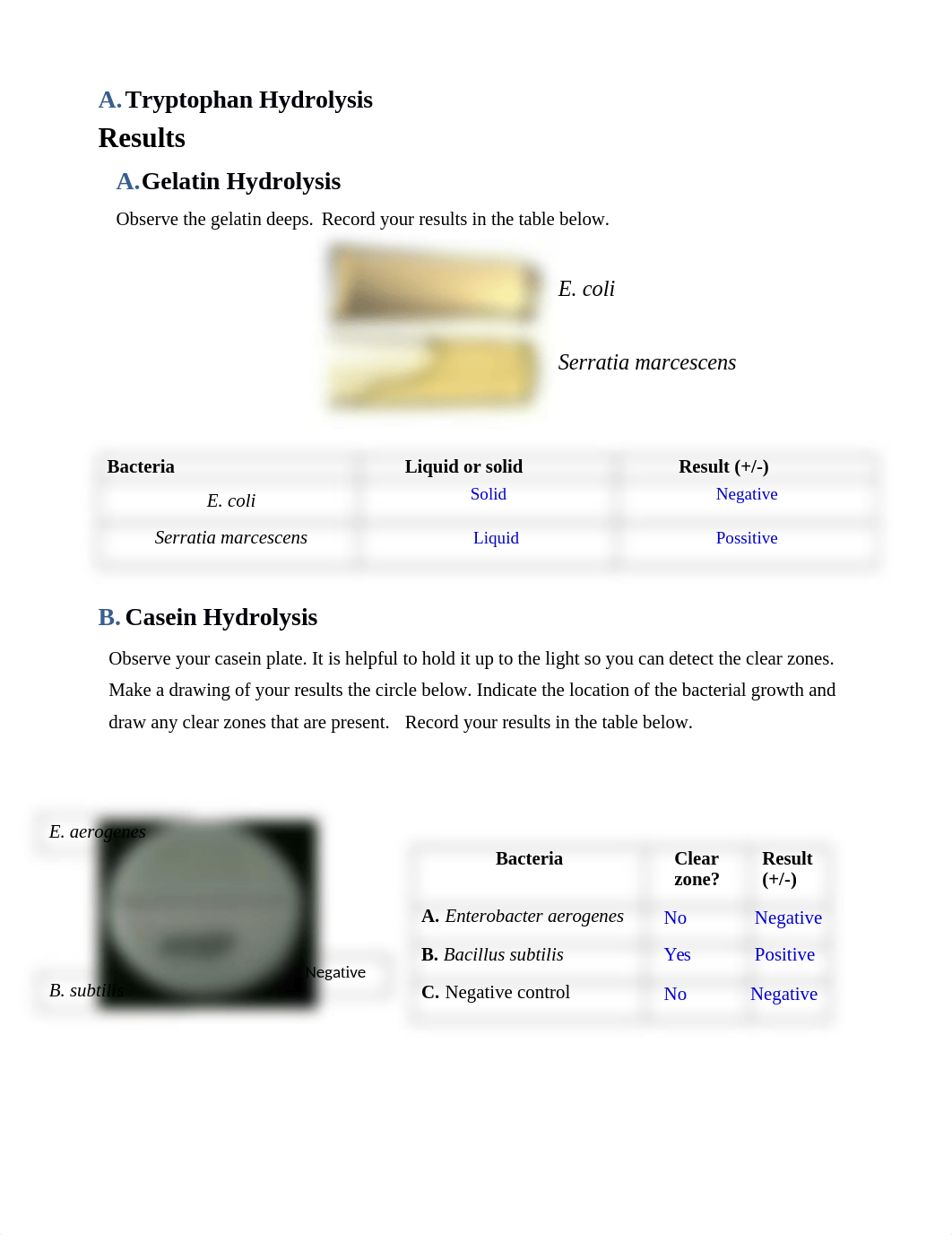 Protein lab 3.docx_dqu7kpfeuym_page1