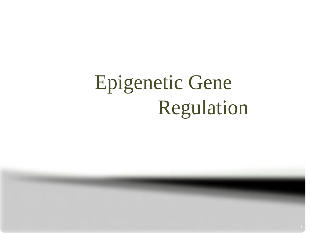 Epigenetic regulation.pptx_dqu8shmemze_page1