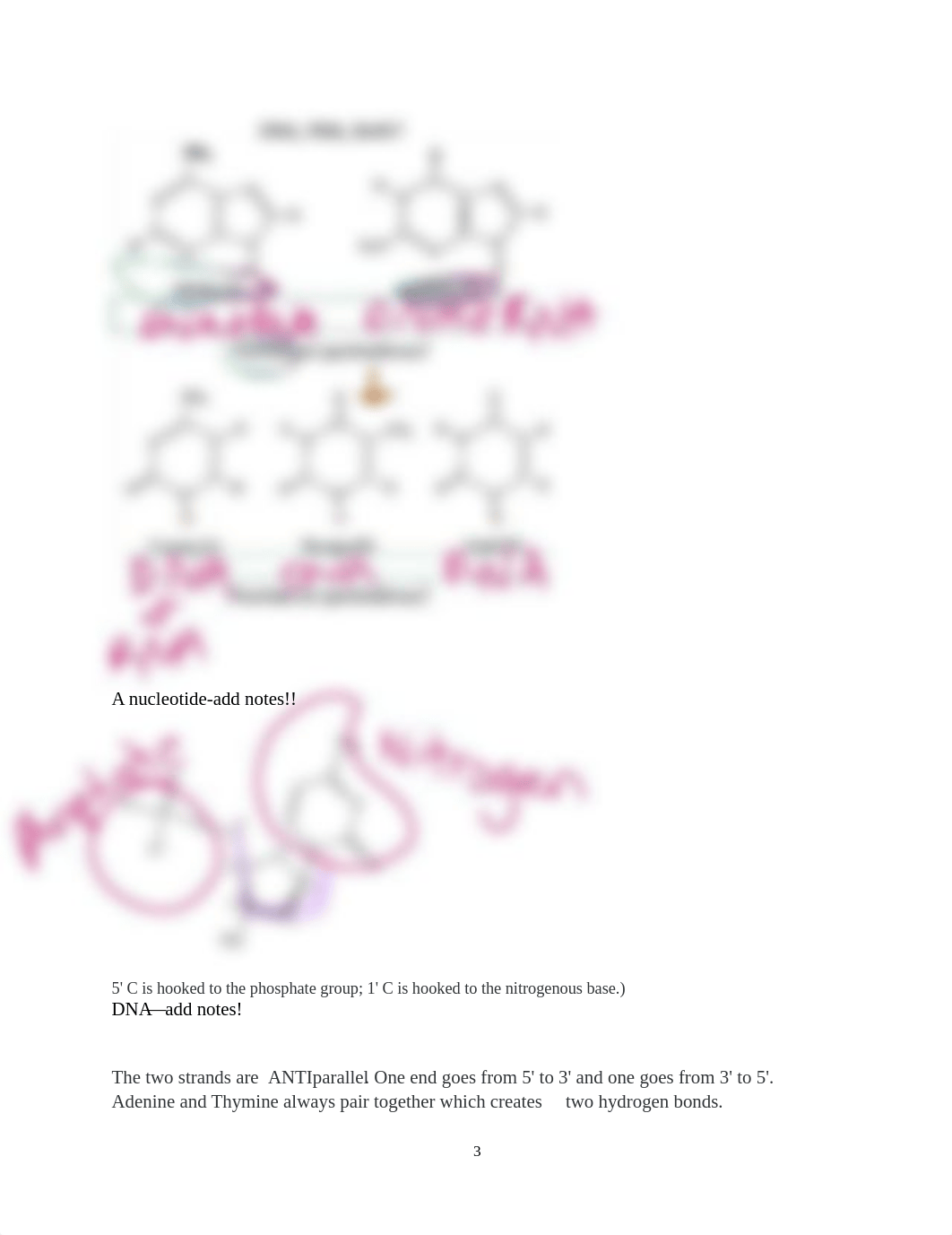 Bio 1140L Unit 8 DNA Study Guide  06-29-2022.pdf_dqui66hyqn5_page3