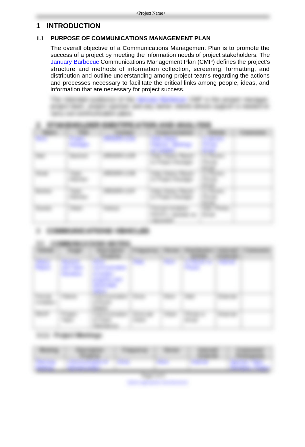 Communication Management Plan.doc_dquo7idwvpj_page3