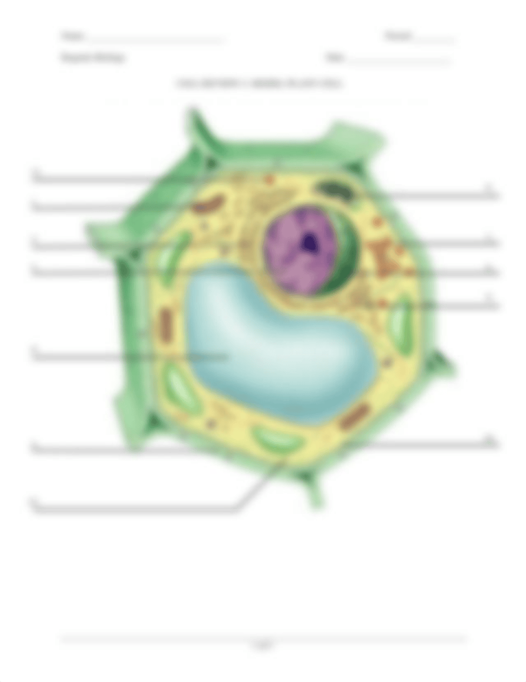 00organelles2008_dquqw9uf1yg_page4