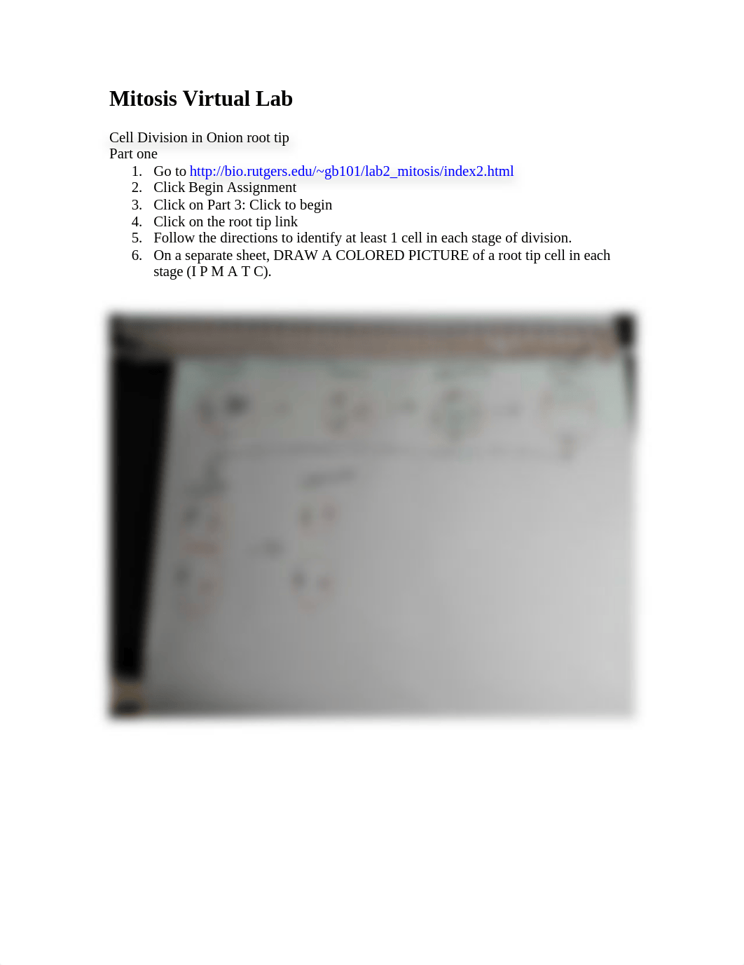 Lab 5.docx_dqv17uo4urg_page1