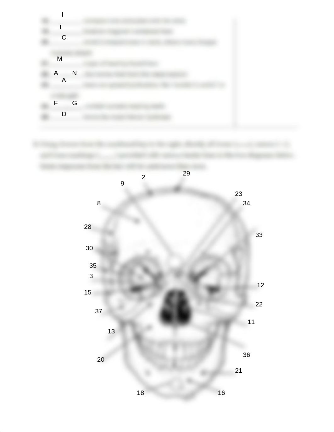 Ex09 Review sheet - The Axial Skeleton (1).pdf_dqv2u3ba31l_page2