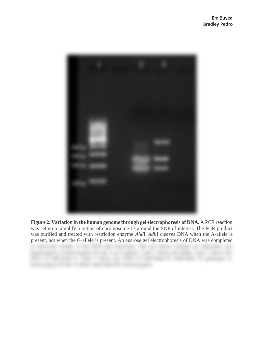 annotated figure 2 (1).pdf_dqvb9tc7714_page1