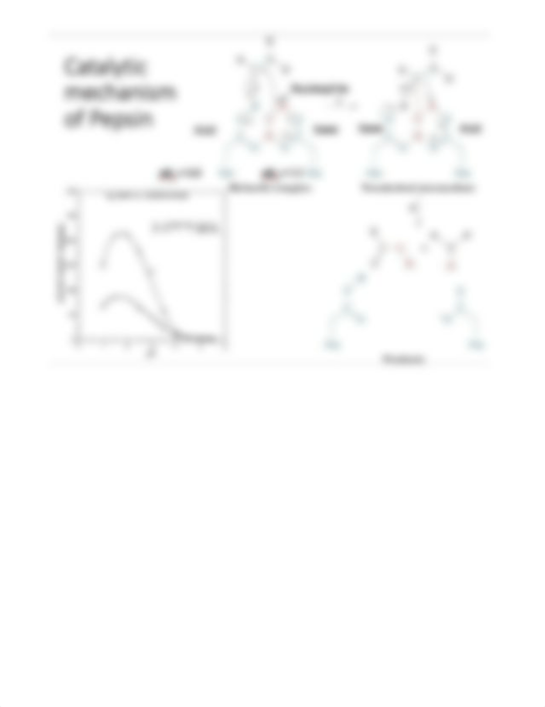 Biochem Exam 1 Fact Sheet.docx_dqvbadd45um_page5