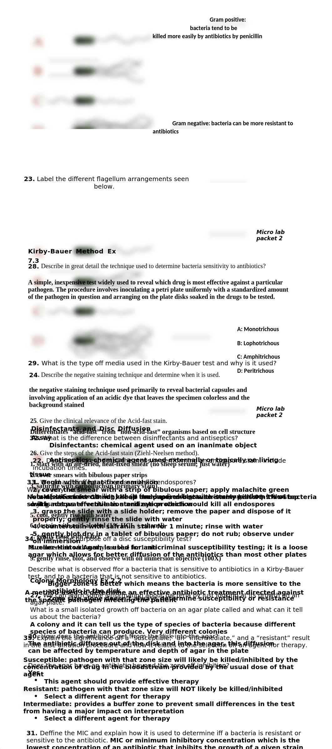 Micro Lab Packet 2 .docx_dqvd9rje0sb_page2