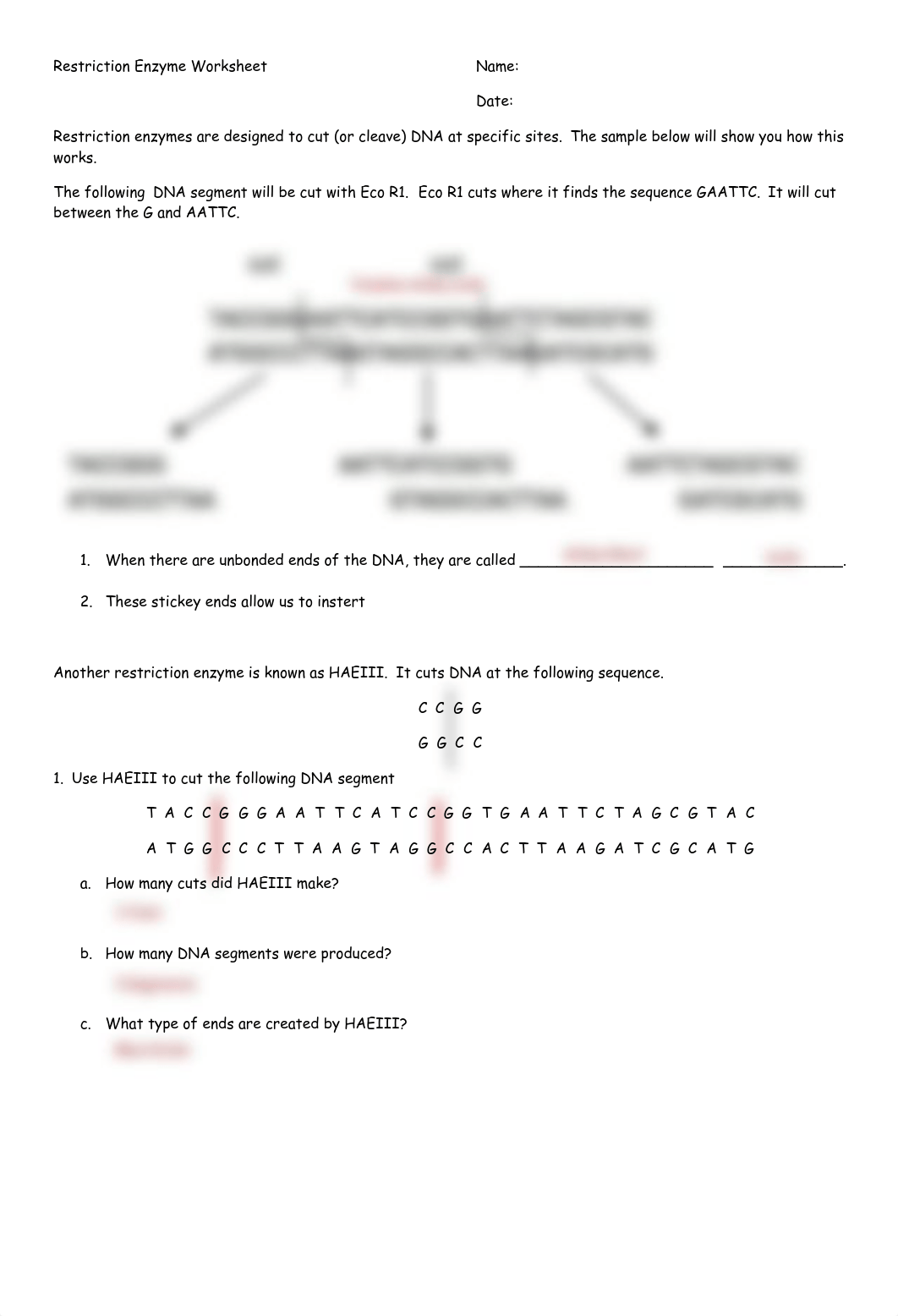 Kami Export - Darrin Greaves - restriction enzyme worksheet 2022.pdf_dqve349qhux_page1