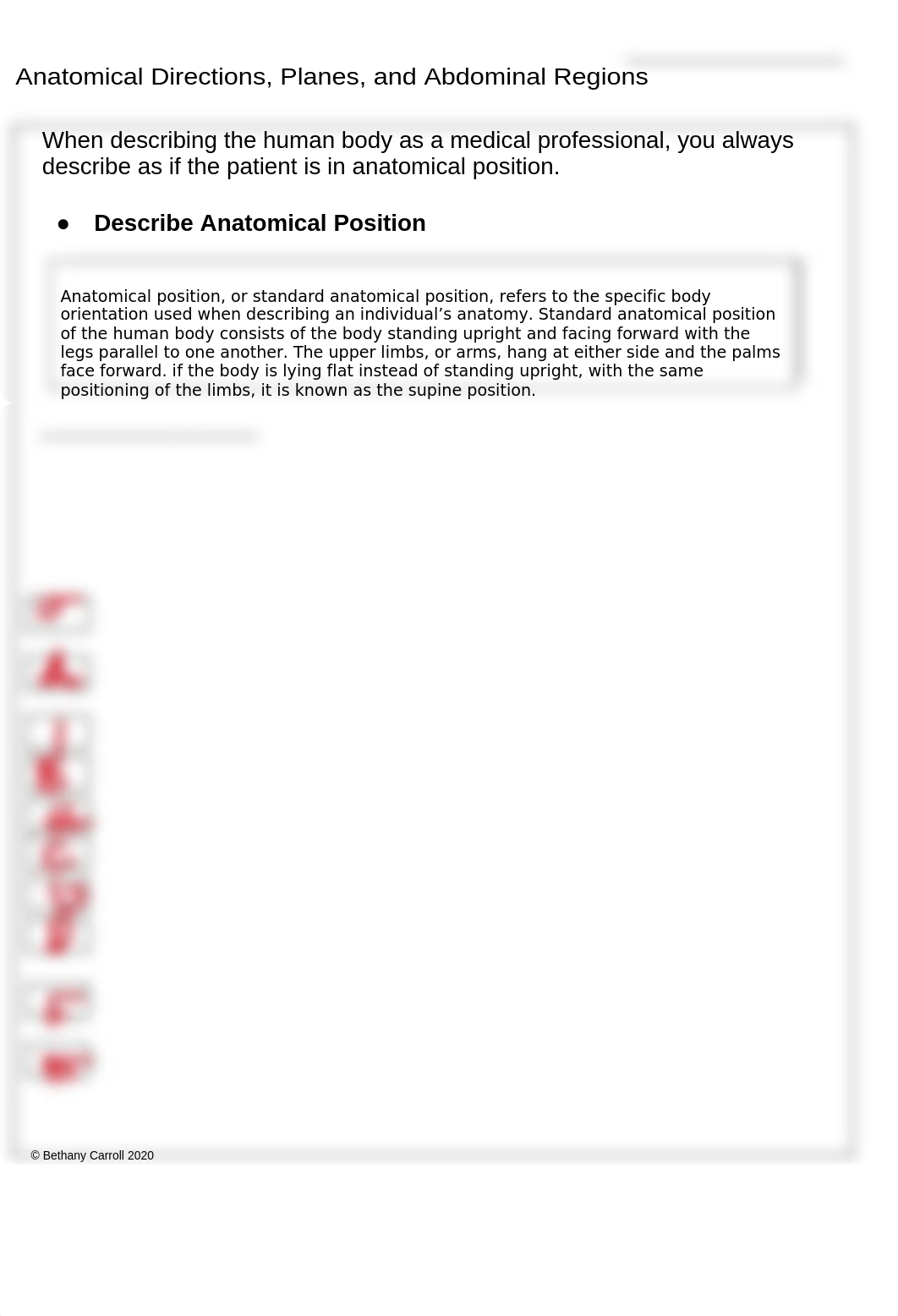 AB 2 Anatomical Directions, Planes, and Abdominal Regions Worksheet - Print-2.docx_dqvfc0gjmxu_page1