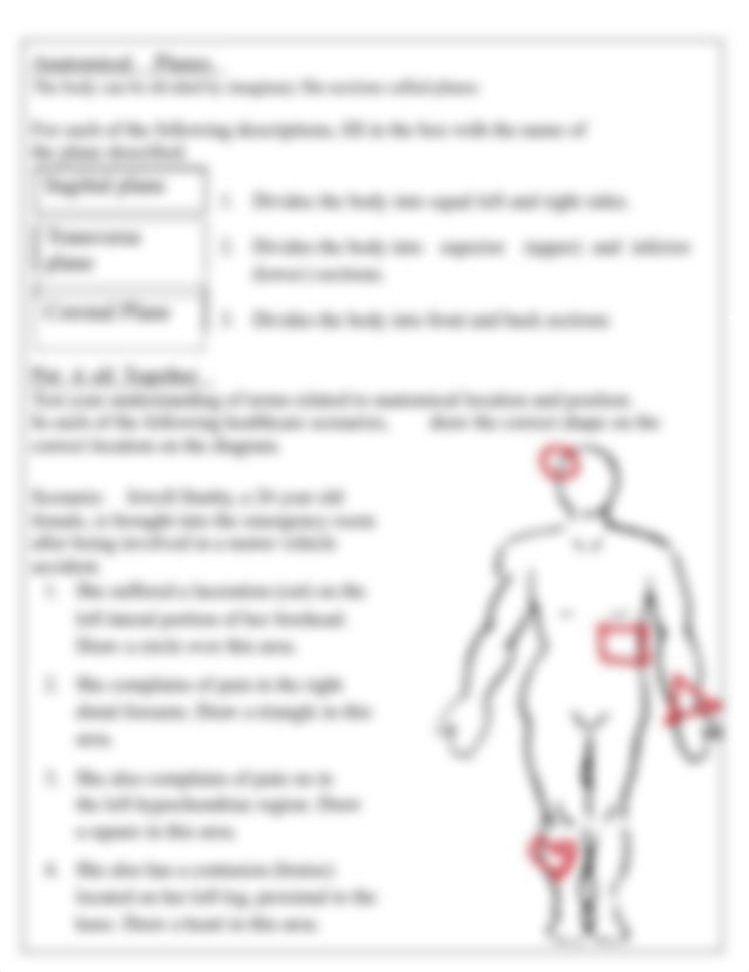 AB 2 Anatomical Directions, Planes, and Abdominal Regions Worksheet - Print-2.docx_dqvfc0gjmxu_page2