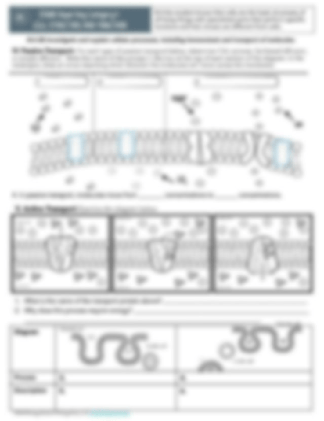 Biology I Review - Cells.pdf_dqvijammbwb_page5