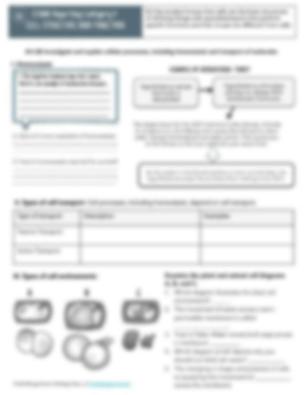 Biology I Review - Cells.pdf_dqvijammbwb_page4