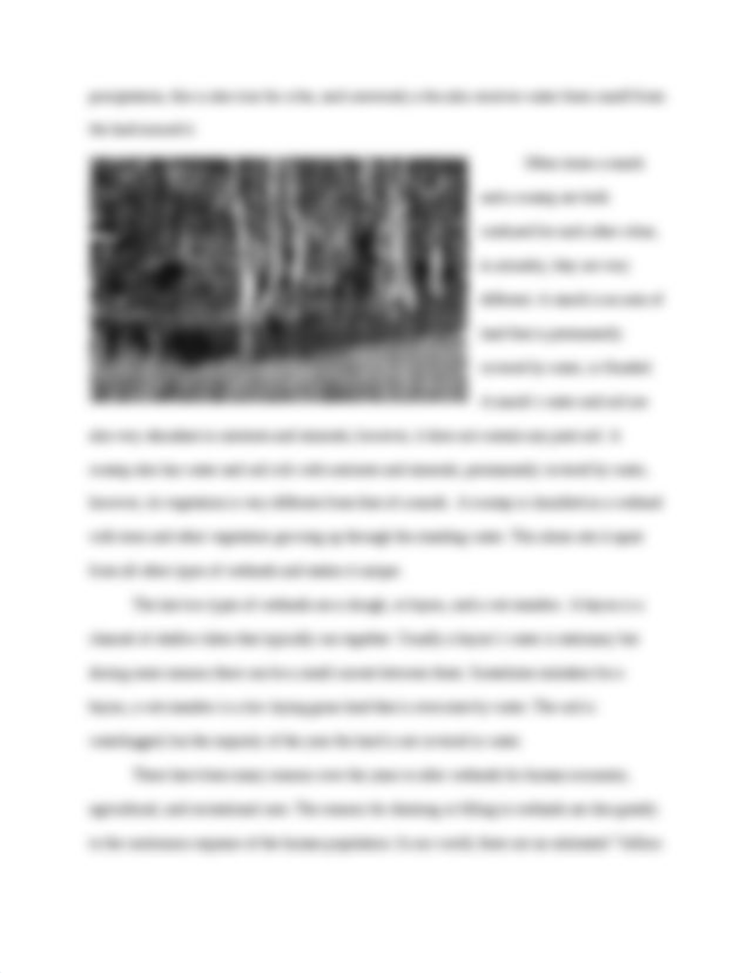 Wetland Conservation Research Paper 2_dqvlprh47x7_page3