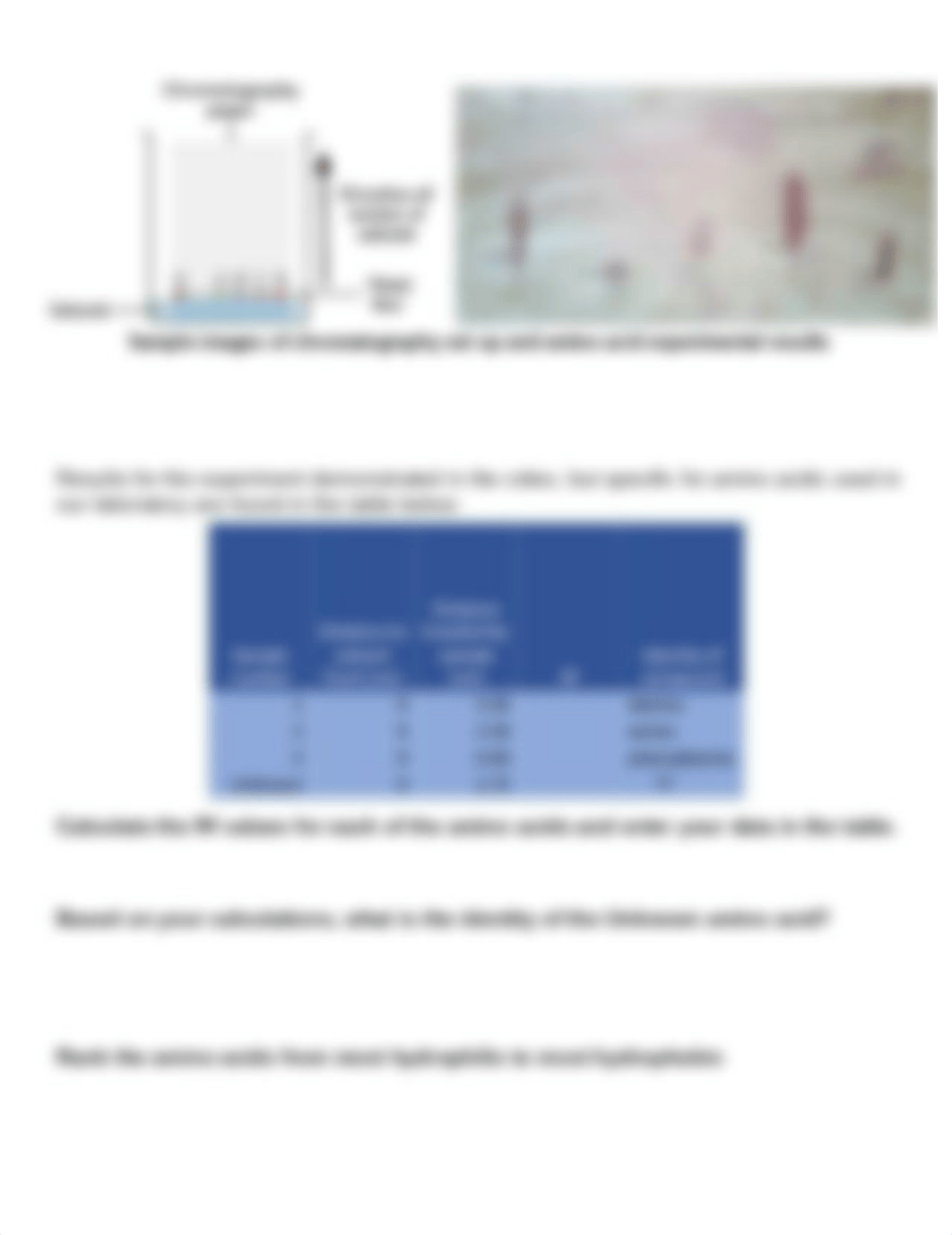 Lab 5 - Separating Organic Compounds Lab Bio121.pdf_dqvnjh7atw4_page2