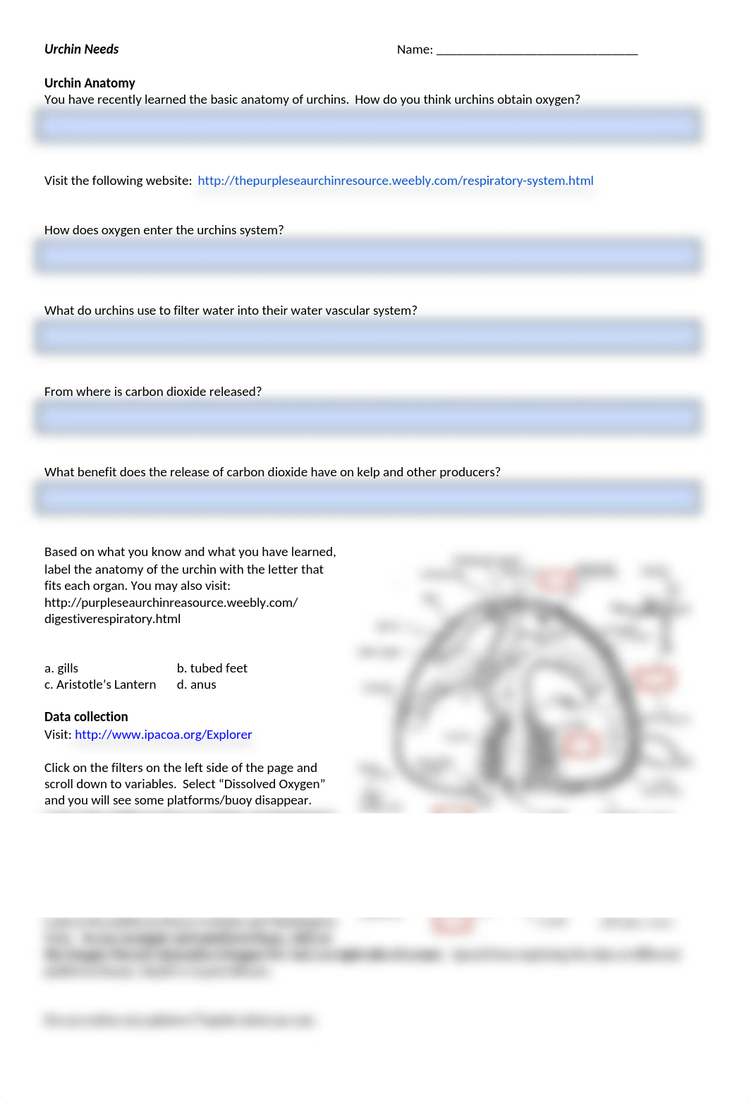 BIOL111_Lesson_10_-_Homeostasis_Urchin_Activity_IPACOA-REMOTE_dqvs6fff5zc_page1