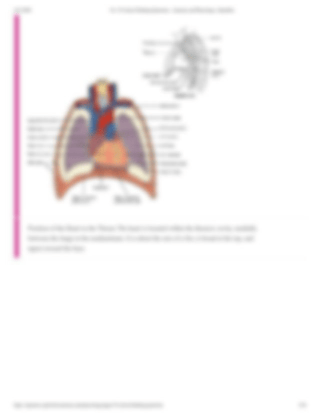 cardiovascular system ch 19.pdf_dqvwjzgptof_page3