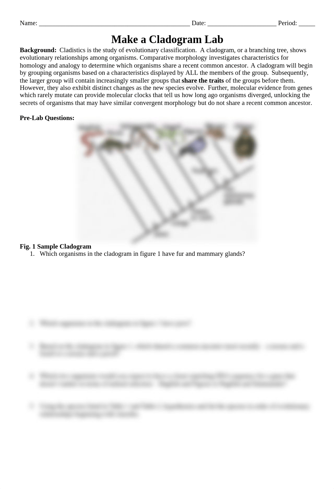 29_cladogram_extension_activity.docx_dqvwo525gqn_page1