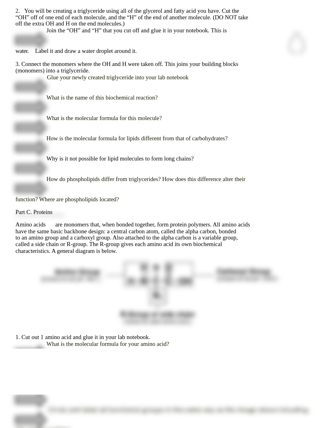 Dehydration Synthesis Paper Modeling Activity.docx_dqvy6ln1zpk_page2