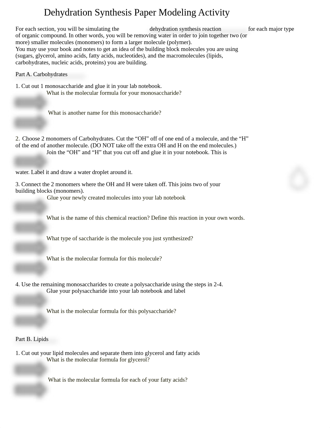 Dehydration Synthesis Paper Modeling Activity.docx_dqvy6ln1zpk_page1