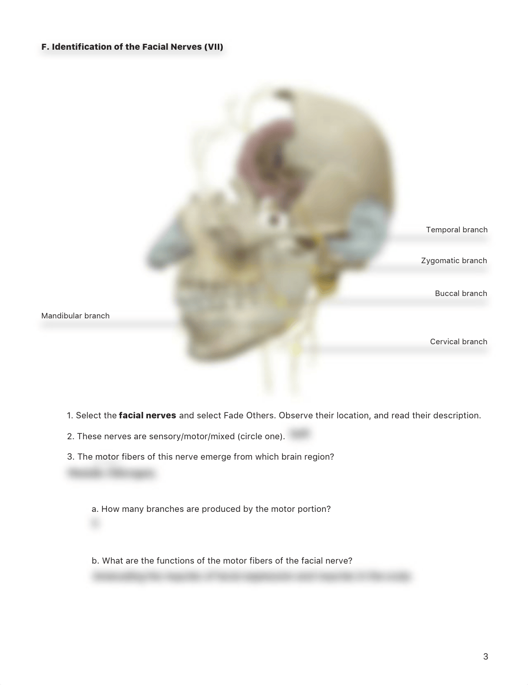 lab manual_cranial nerves_part_2.pdf_dqw03gsxjdu_page3