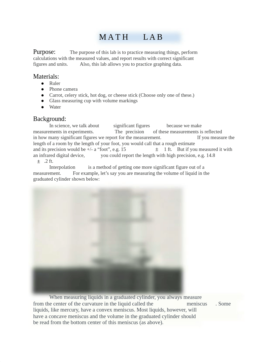 Kitchen Lab #1 Math Lab (1).docx_dqw4xj1pncd_page1