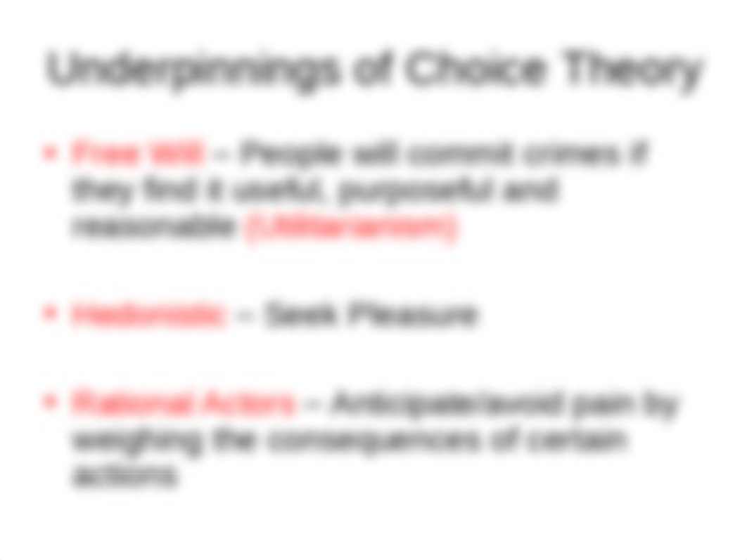 Chapter 4 Rational Choice.ppt_dqw72cocn12_page3